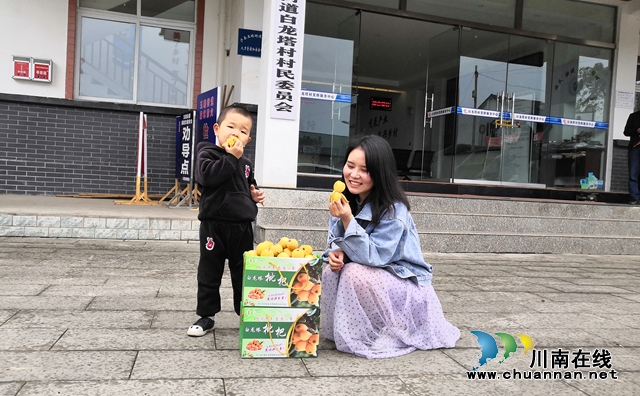 約起來(lái)！瀘縣白龍塔村千畝枇杷熟了！(圖12)