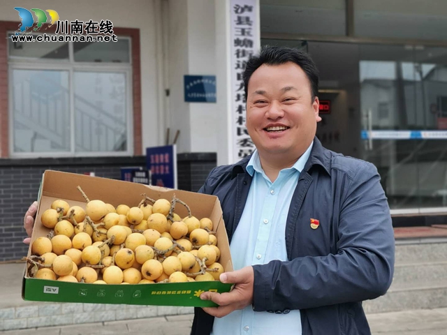 約起來(lái)！瀘縣白龍塔村千畝枇杷熟了！(圖10)