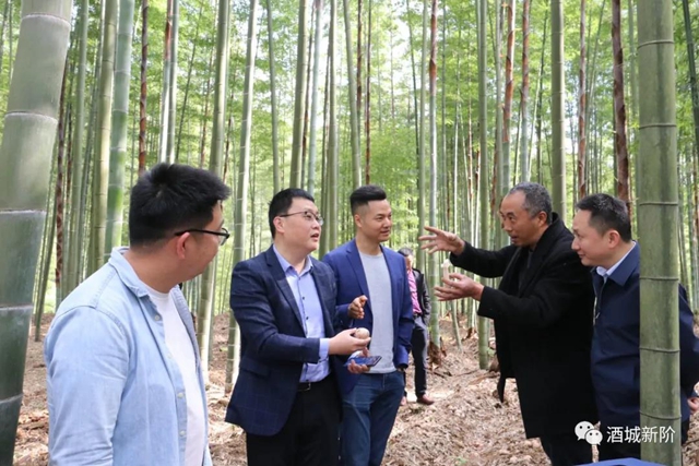 納溪區(qū)新聯(lián)會探索“互聯(lián)網(wǎng)+竹” 助推鄉(xiāng)村產(chǎn)業(yè)融合發(fā)展