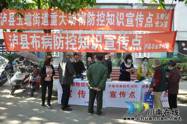 瀘縣開(kāi)展人畜共患病防控知識(shí)宣傳