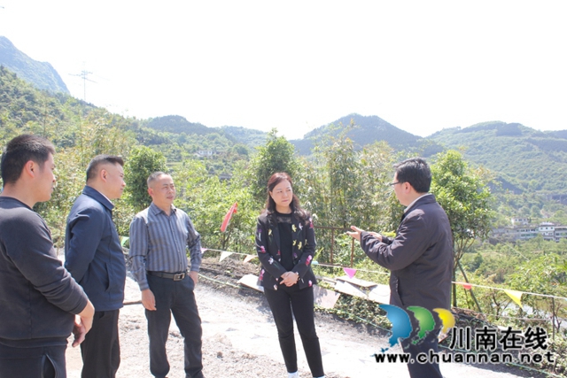 丁躍萍節(jié)前督查敘永縣地災(zāi)防治和礦山安全生產(chǎn)工作(圖2)