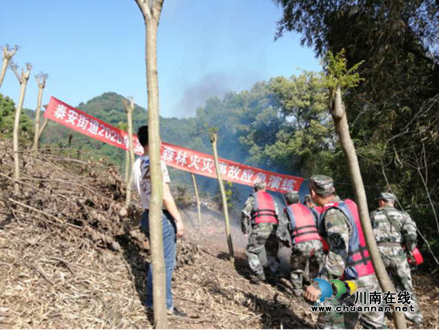 江陽(yáng)區(qū)泰安街道組織開(kāi)展森林防火應(yīng)急演練