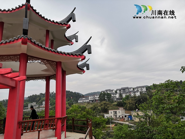 買枇杷、吃“跑山雞"、耍農(nóng)家樂…瀘縣白龍塔村聯(lián)系電話來了！(圖10)