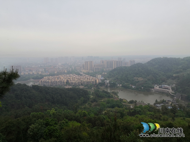 買枇杷、吃“跑山雞"、耍農(nóng)家樂…瀘縣白龍塔村聯(lián)系電話來了！(圖11)