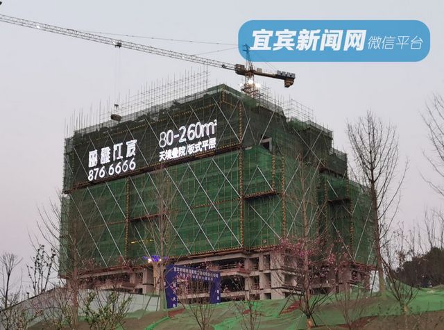 宜賓商品房銷量大增，37個(gè)樓盤均價(jià)公布！這個(gè)區(qū)域銷售備案1116套(圖5)