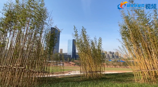 占地1萬畝！宜賓這個(gè)竹生態(tài)文化主題公園國慶前達(dá)到開園條件(圖2)