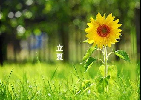 【今日立夏】今天開始，要小心哦！(圖8)
