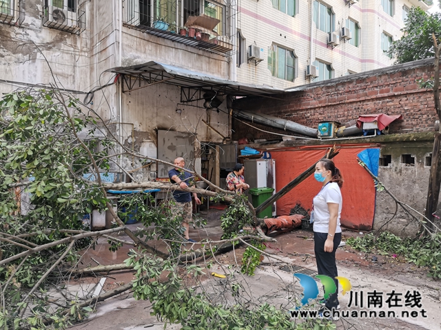 瀘縣玉蟾街道開展暴雨后災(zāi)情排查工作(圖3)