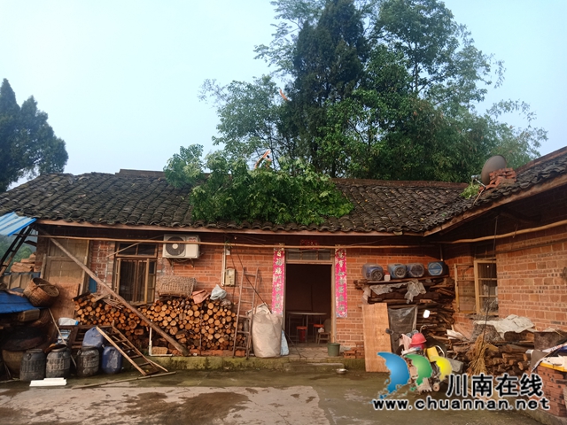 瀘縣玉蟾街道開展暴雨后災(zāi)情排查工作(圖6)