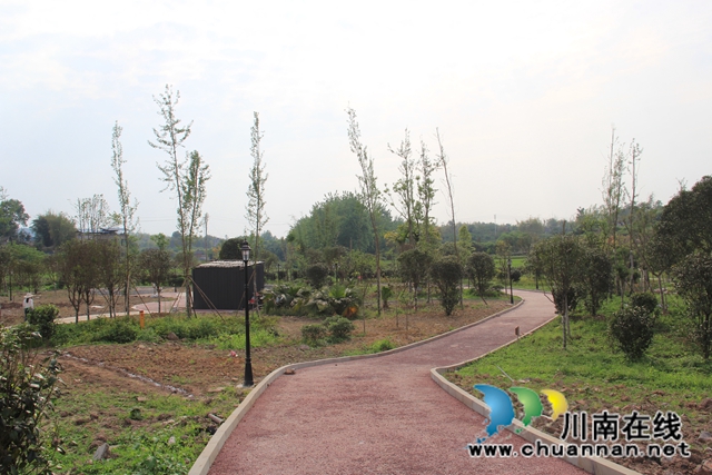 瀘縣云龍鎮(zhèn)：穩(wěn)步推進(jìn)云龍健康公園建設(shè) 打造群眾休閑好去處(圖2)