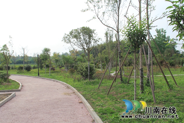 瀘縣云龍鎮(zhèn)：穩(wěn)步推進(jìn)云龍健康公園建設(shè) 打造群眾休閑好去處