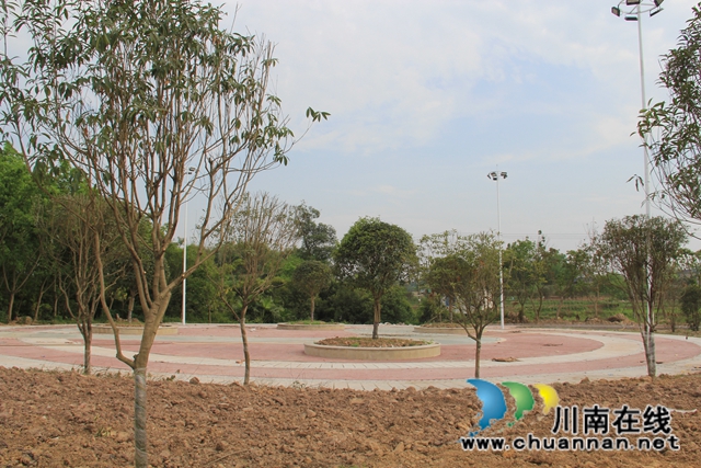 瀘縣云龍鎮(zhèn)：穩(wěn)步推進(jìn)云龍健康公園建設(shè) 打造群眾休閑好去處(圖4)