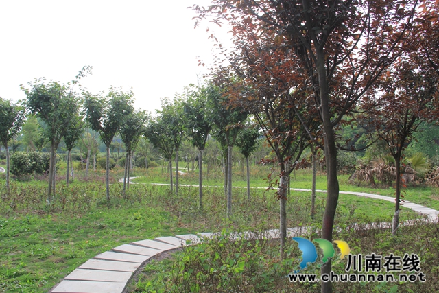 瀘縣云龍鎮(zhèn)：穩(wěn)步推進(jìn)云龍健康公園建設(shè) 打造群眾休閑好去處(圖7)