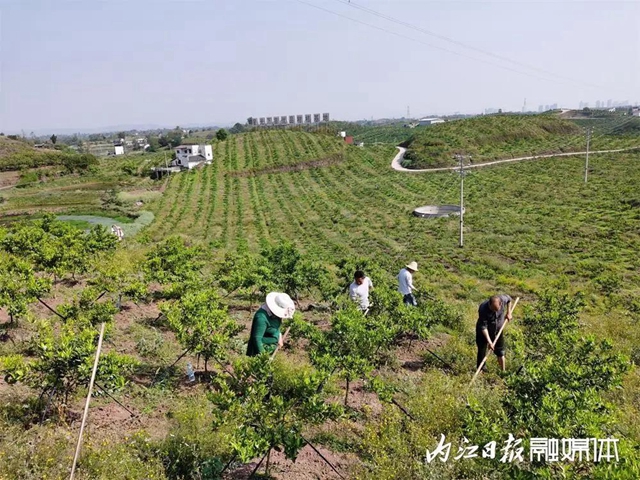 全市關(guān)注！一季度內(nèi)江經(jīng)濟數(shù)據(jù)出爐(圖3)