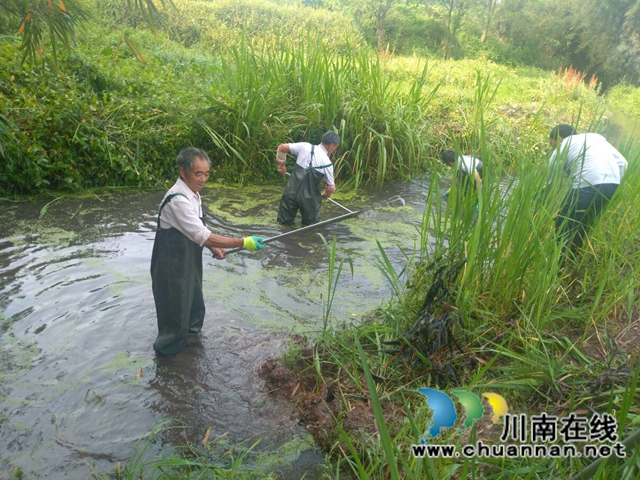瀘縣玉蟾街道持續(xù)開展河長制工作推動治理常態(tài)化(圖3)