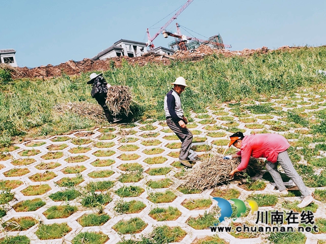 瀘縣玉蟾街道持續(xù)開展河長制工作推動治理常態(tài)化(圖2)