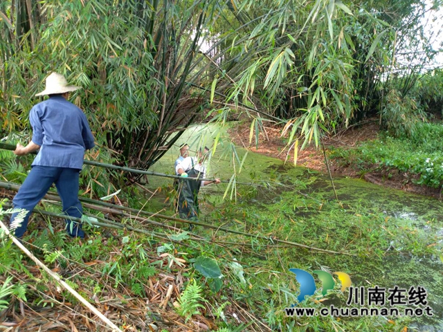 瀘縣玉蟾街道持續(xù)開展河長制工作推動治理常態(tài)化(圖5)