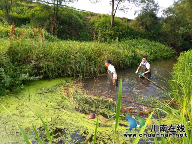 瀘縣玉蟾街道持續(xù)開展河長制工作推動治理常態(tài)化(圖6)