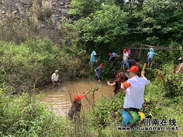 龍馬潭區(qū)魚塘街道：黨員齊上陣 “綠”河溝復(fù)真顏(圖2)