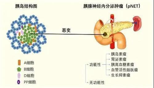 西南領(lǐng)先| 讓隱匿“罪犯”顯形，他們派上了終極“核武器”！(圖2)