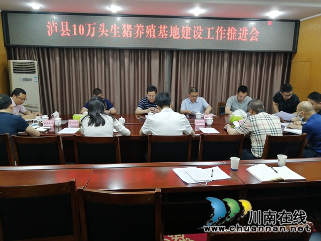 瀘縣召開10萬頭生豬養(yǎng)殖基地建設(shè)工作推進會
