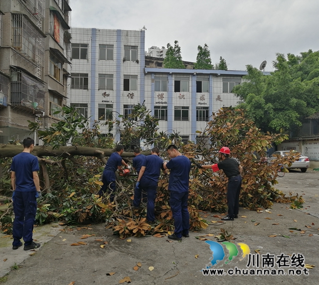 龍馬潭區(qū)小市街道：風(fēng)雨無阻 暖心守護(hù)(圖3)