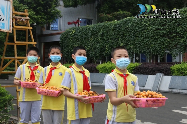 瀘縣玉蟾街道：高溫天里，孩子們?yōu)榻煌▌駥?dǎo)員獻(xiàn)上鮮花、枇杷(圖4)