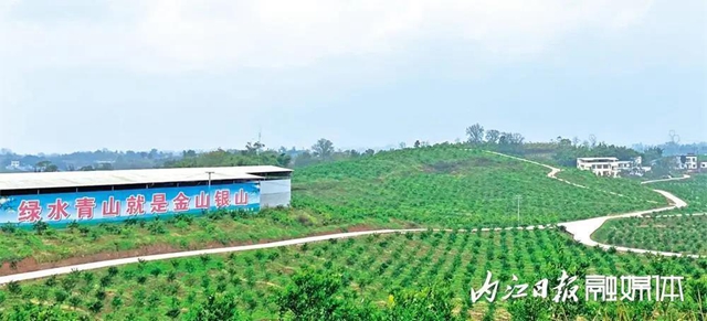 實現(xiàn)100%！市交通運輸局：內(nèi)江交通道路下月將發(fā)生重大變化