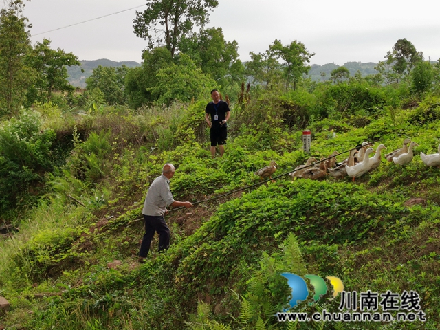 瀘縣玉蟾街道扎實(shí)開(kāi)展河長(zhǎng)制工作(圖3)