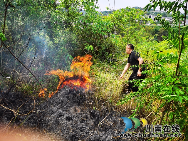 龍馬潭區(qū)羅漢街道群豐村發(fā)生山火，巡邏人員及時撲救