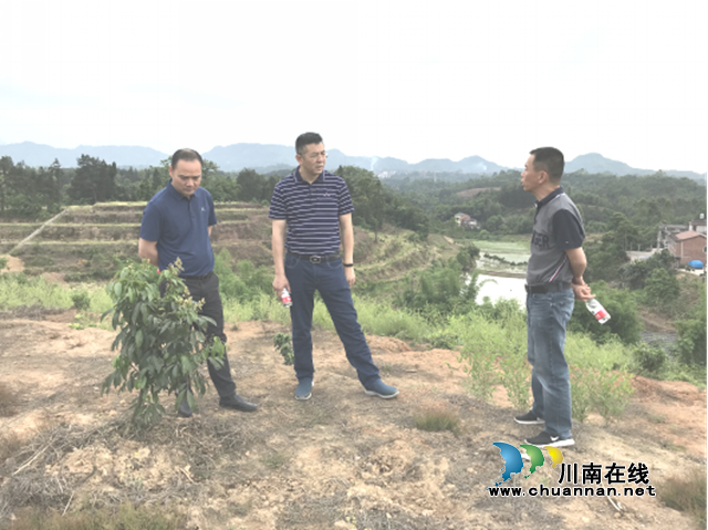 省國土整治中心復(fù)核合江縣2019年驗收土地整理項目(圖1)