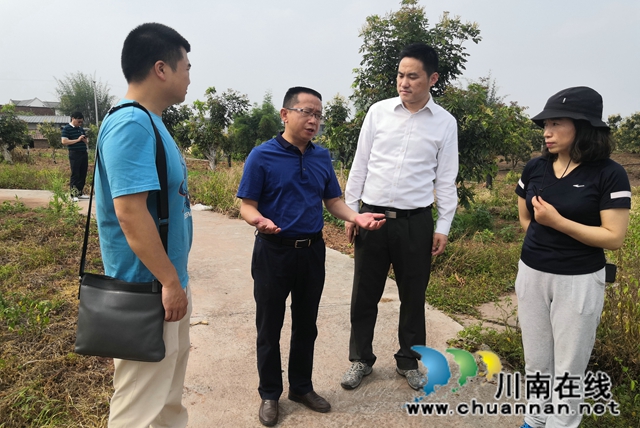 鄭尚貴到瀘縣潮河鎮(zhèn)調(diào)研農(nóng)業(yè)產(chǎn)業(yè)工作(圖3)