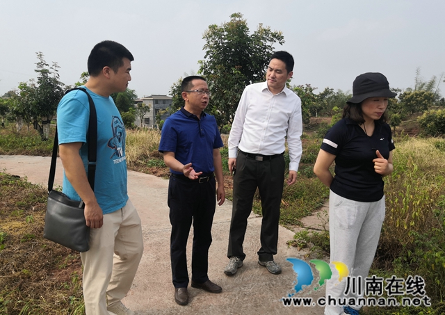 鄭尚貴到瀘縣潮河鎮(zhèn)調(diào)研農(nóng)業(yè)產(chǎn)業(yè)工作