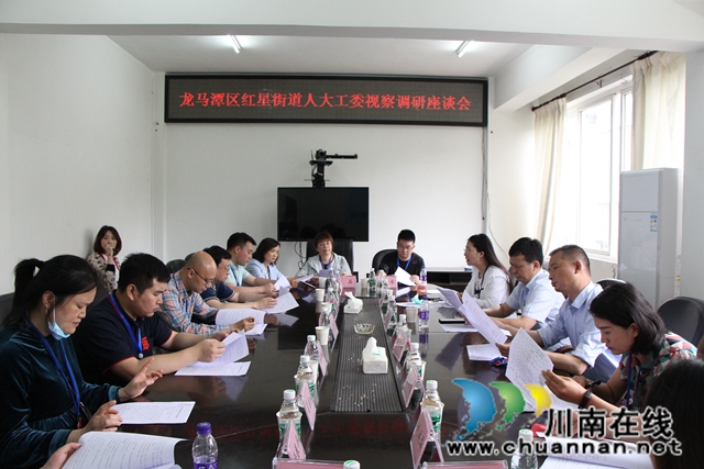 龍馬潭區(qū)紅星街道組織人大代表、政協(xié)委員開展視察調(diào)研活動(圖5)