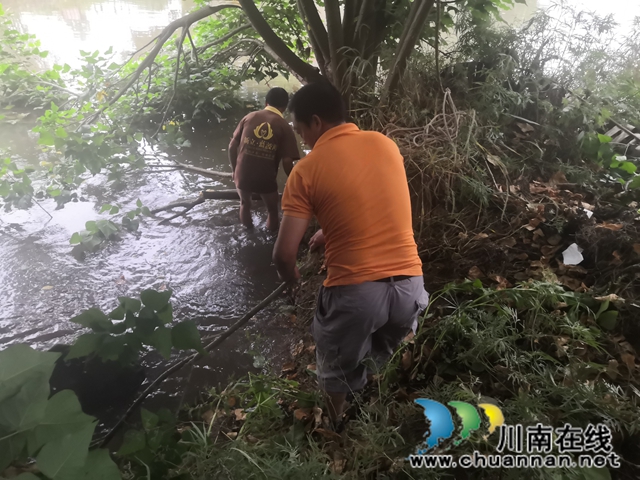 瀘縣玉蟾街道：狠抓河道整治 守護(hù)綠水青山(圖8)