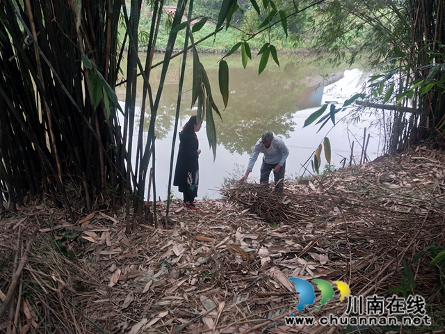 瀘縣玉蟾街道：狠抓河道整治 守護(hù)綠水青山(圖6)