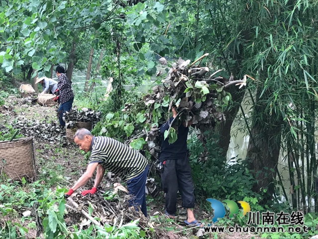 瀘縣玉蟾街道：狠抓河道整治 守護(hù)綠水青山(圖4)