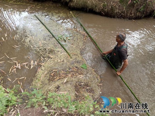 瀘縣玉蟾街道：狠抓河道整治 守護(hù)綠水青山(圖9)