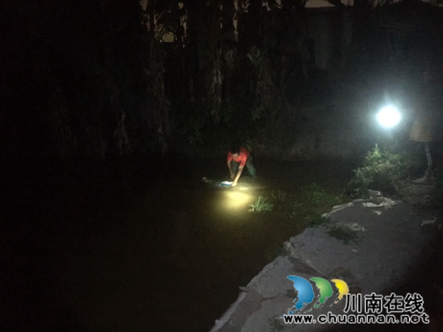 瀘縣玉蟾街道：狠抓河道整治 守護(hù)綠水青山(圖11)