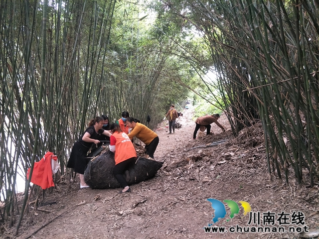 瀘縣玉蟾街道：狠抓河道整治 守護(hù)綠水青山(圖15)
