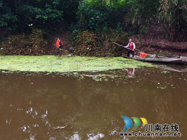 瀘縣玉蟾街道：狠抓河道整治 守護(hù)綠水青山(圖14)