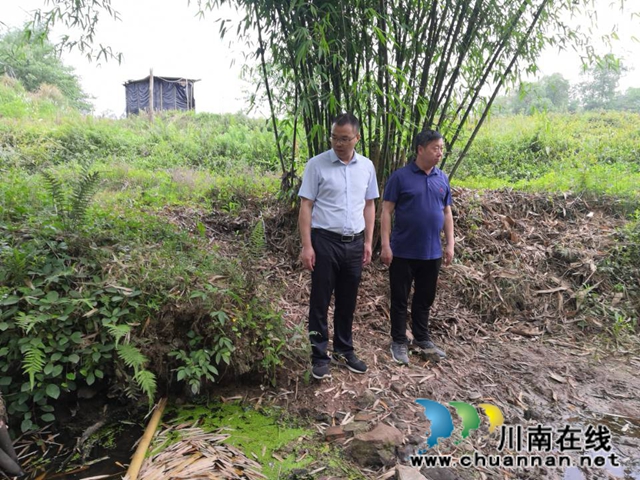 楊雙全到瀘縣玉蟾街道督導(dǎo)河長制及生態(tài)環(huán)保工作