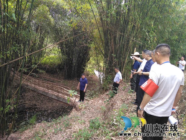 楊雙全到瀘縣玉蟾街道督導(dǎo)河長制及生態(tài)環(huán)保工作(圖3)