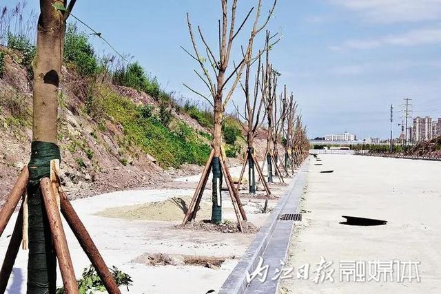 長11.8公里，投資5.1億！內(nèi)江城區(qū)又一條大道來了(圖3)