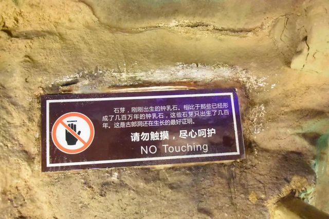 視頻 | 女游客掰斷古藺景區(qū)內(nèi)兩顆萬(wàn)年石鐘乳 法院判賠2500元(圖1)