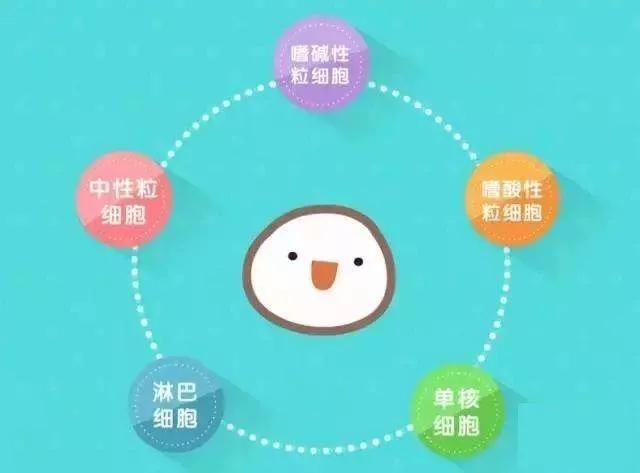 【關(guān)注】血常規(guī)可以查出這些??？(圖7)