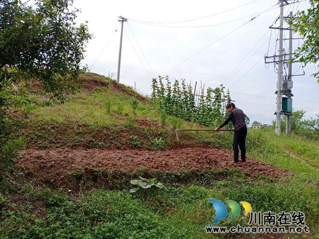 瀘縣云龍鎮(zhèn)：貧困戶自立自強，雙手創(chuàng)造幸福(圖4)