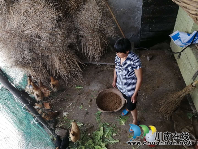 瀘縣云龍鎮(zhèn)：貧困戶自立自強，雙手創(chuàng)造幸福(圖5)