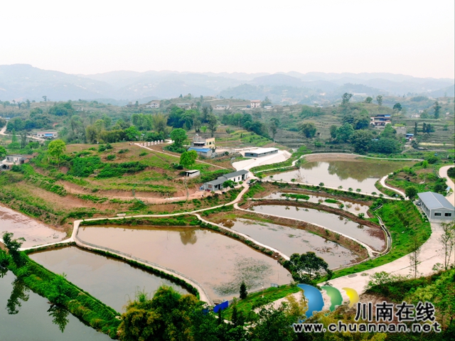 瀘縣：產(chǎn)業(yè)扶貧激活“造血”功能  吉祥村成幸福村