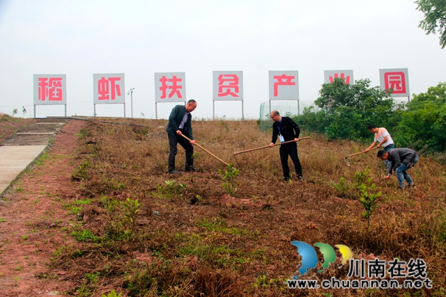 瀘縣：產(chǎn)業(yè)扶貧激活“造血”功能  吉祥村成幸福村(圖2)